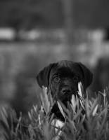 Vincent AIME - AIME VINCENT